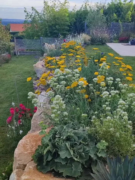 Massif de plantes décoratives récemment aménagé