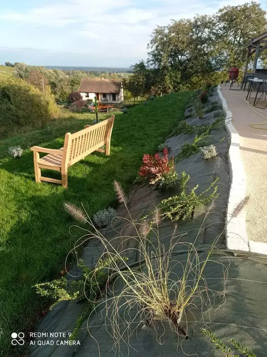 Pelouse avec bordure fleurie aménagée par un paysagiste