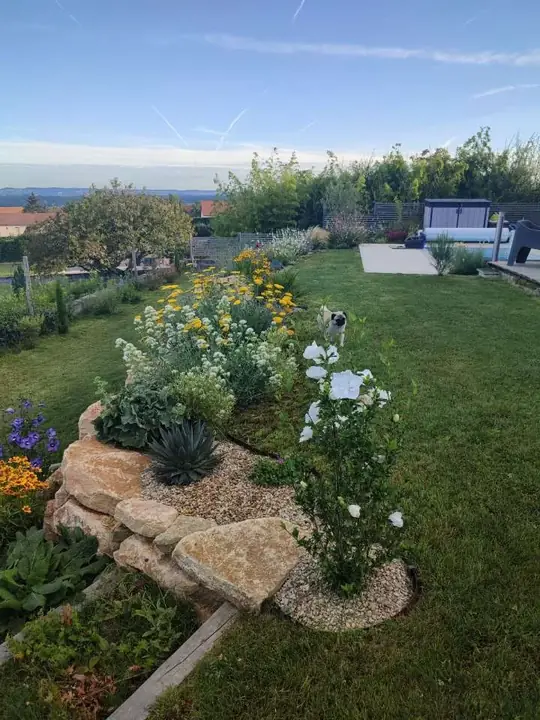 Massif fleuri aménagé dans un jardin